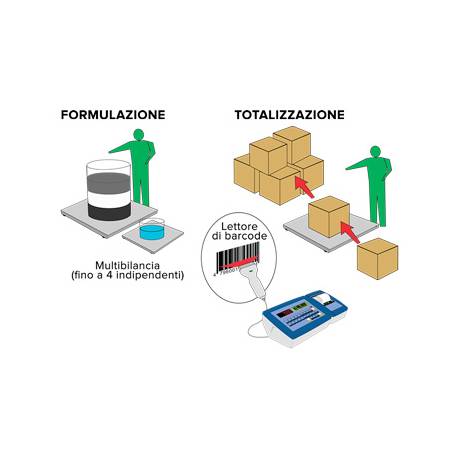 Esempio applicazione Software formulazione totalizzazione