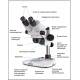 Stereomicroscopio KERN OZL-451 come è fatto