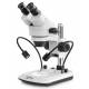 Microscopio Stereo Led 3W Kern OZL-47