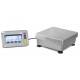 Bilancia di alta precisione GAEP-K