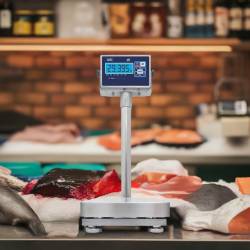 Bilancia Inox WBS per ambienti alimentari con con umidità