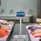 Bilancia Inox WBS per industria ittica e pescherie