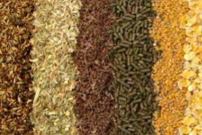 Soluzioni di Pesatura per Mangimi e Pet Food