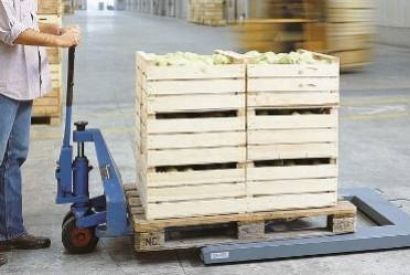 Guida alle Bilance per Pallet: Come Scegliere la Migliore